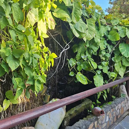 Lägenhetshotell Apollonia Paphos