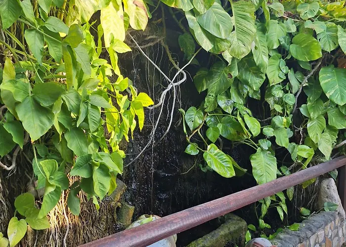 Aparthotel Apollonia Hotel Apartments Paphos